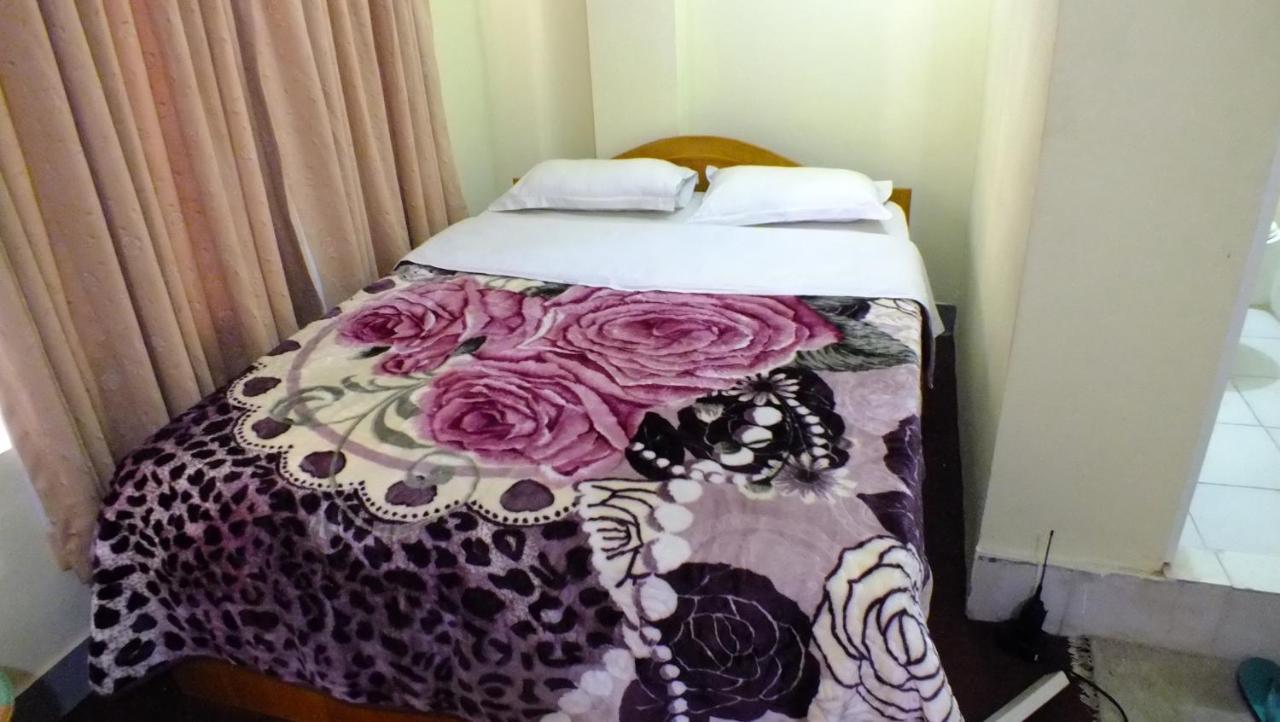 Hotel Dolphin Катманду Экстерьер фото